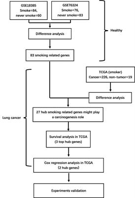 Identification of SRXN1 and KRT6A as Key Genes in Smoking-Related Non-Small-Cell Lung Cancer Through Bioinformatics and Functional Analyses